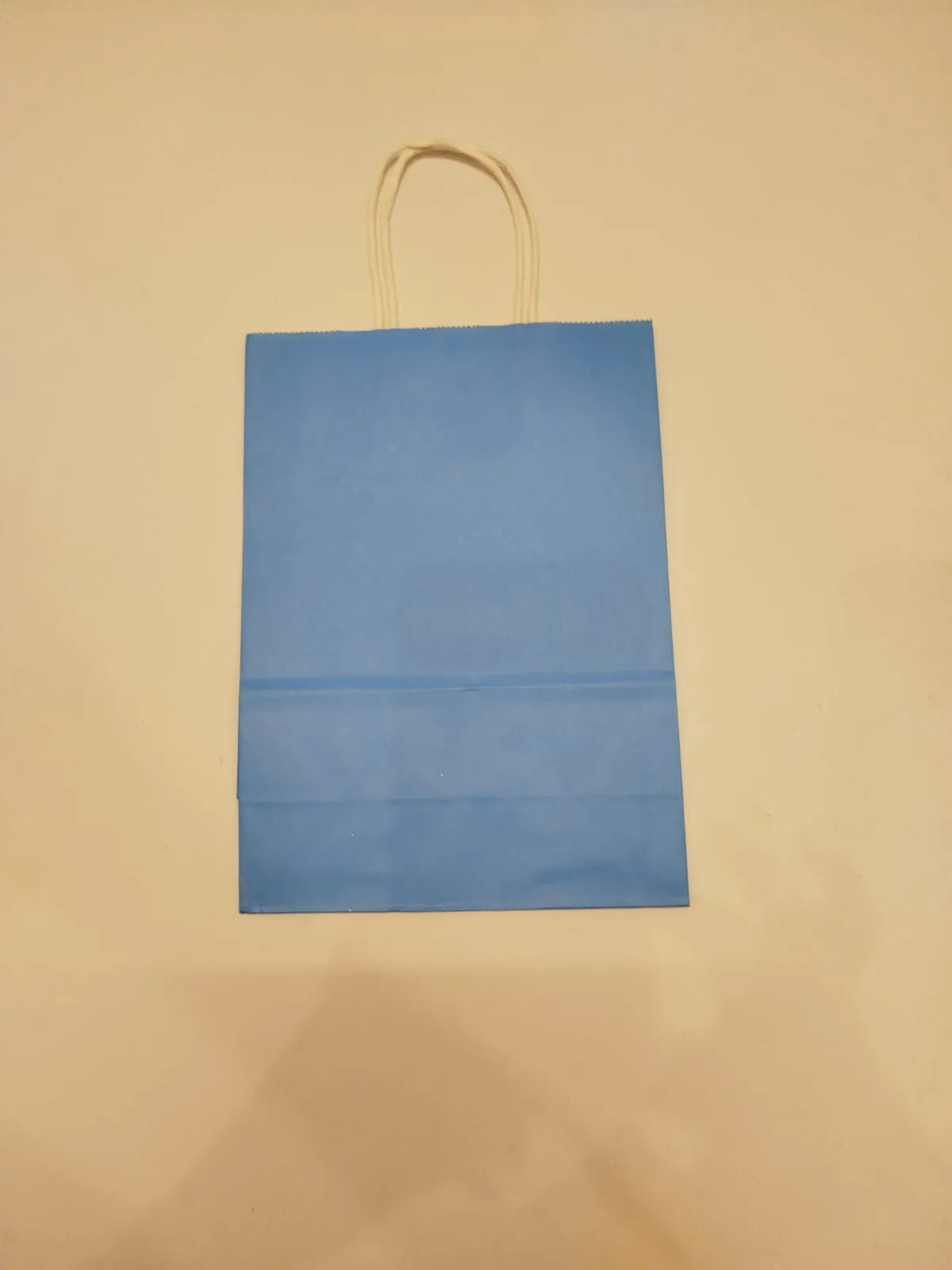 Blue paper bags 6' x 8'