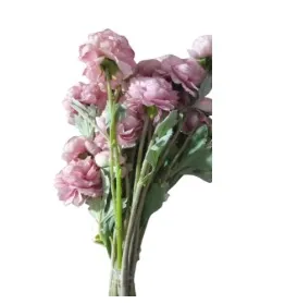 Pink Peony