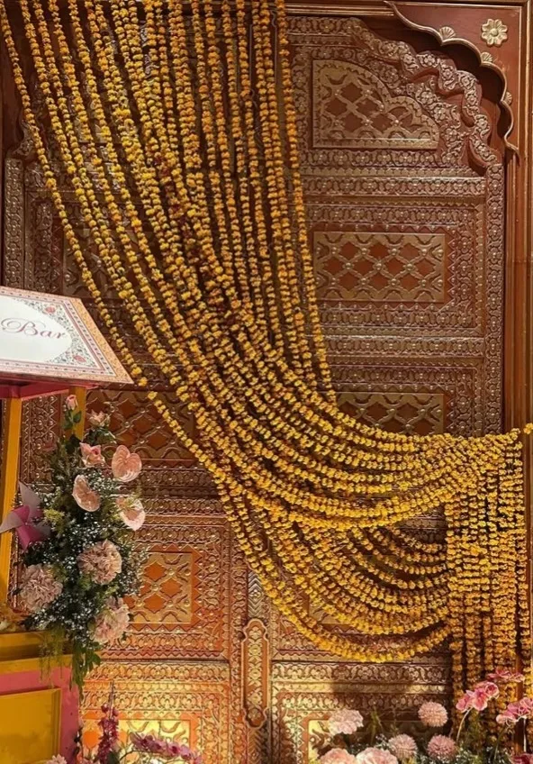 Haveli Door