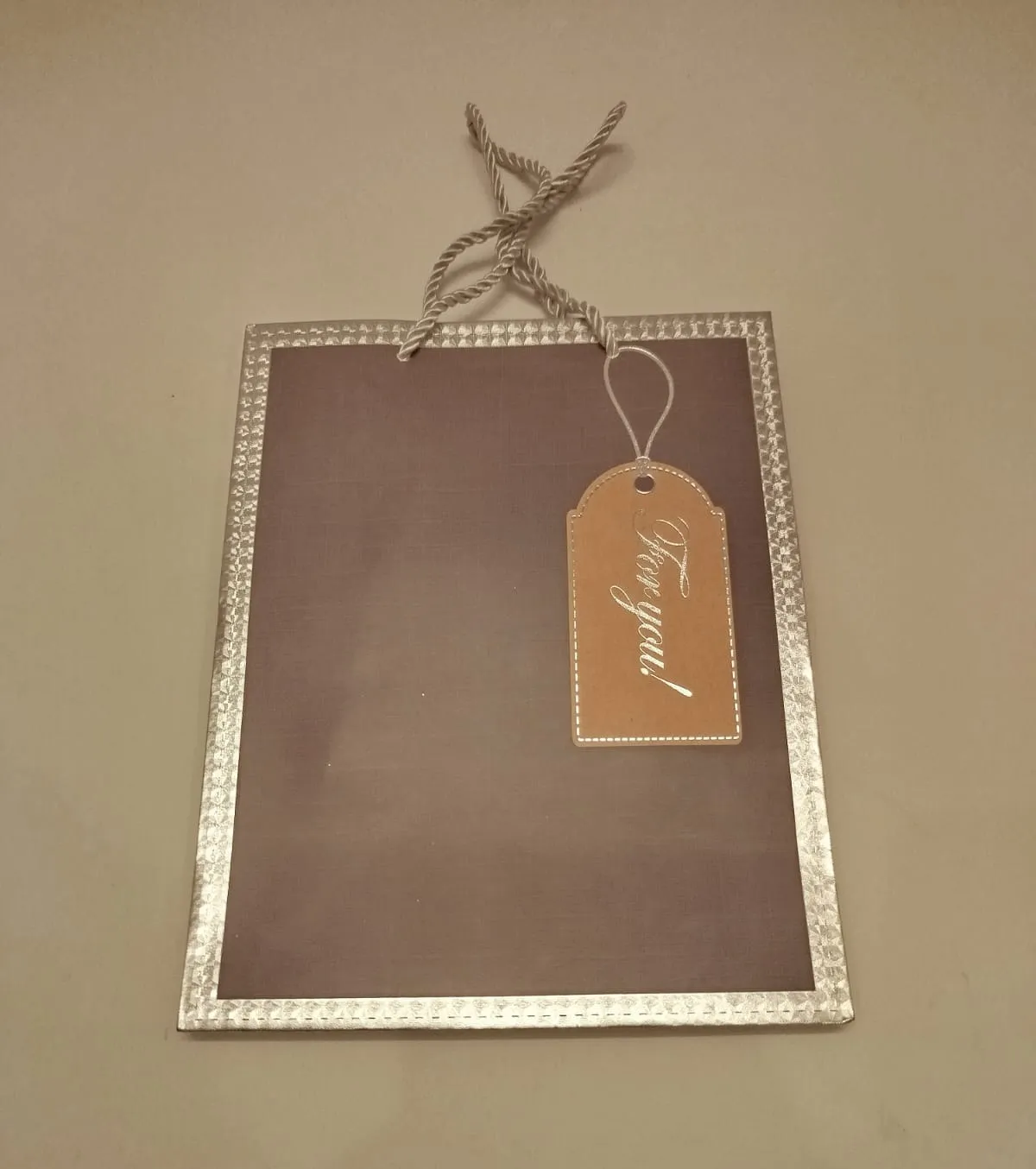 Gift bag with silver boundary medium