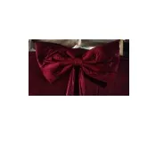 Maroon Bow 