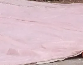 Light Pink Roof