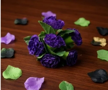 Dark Purple Rose