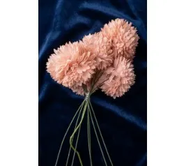 Baby Pink Deco