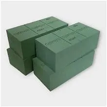 Oasis Bricks