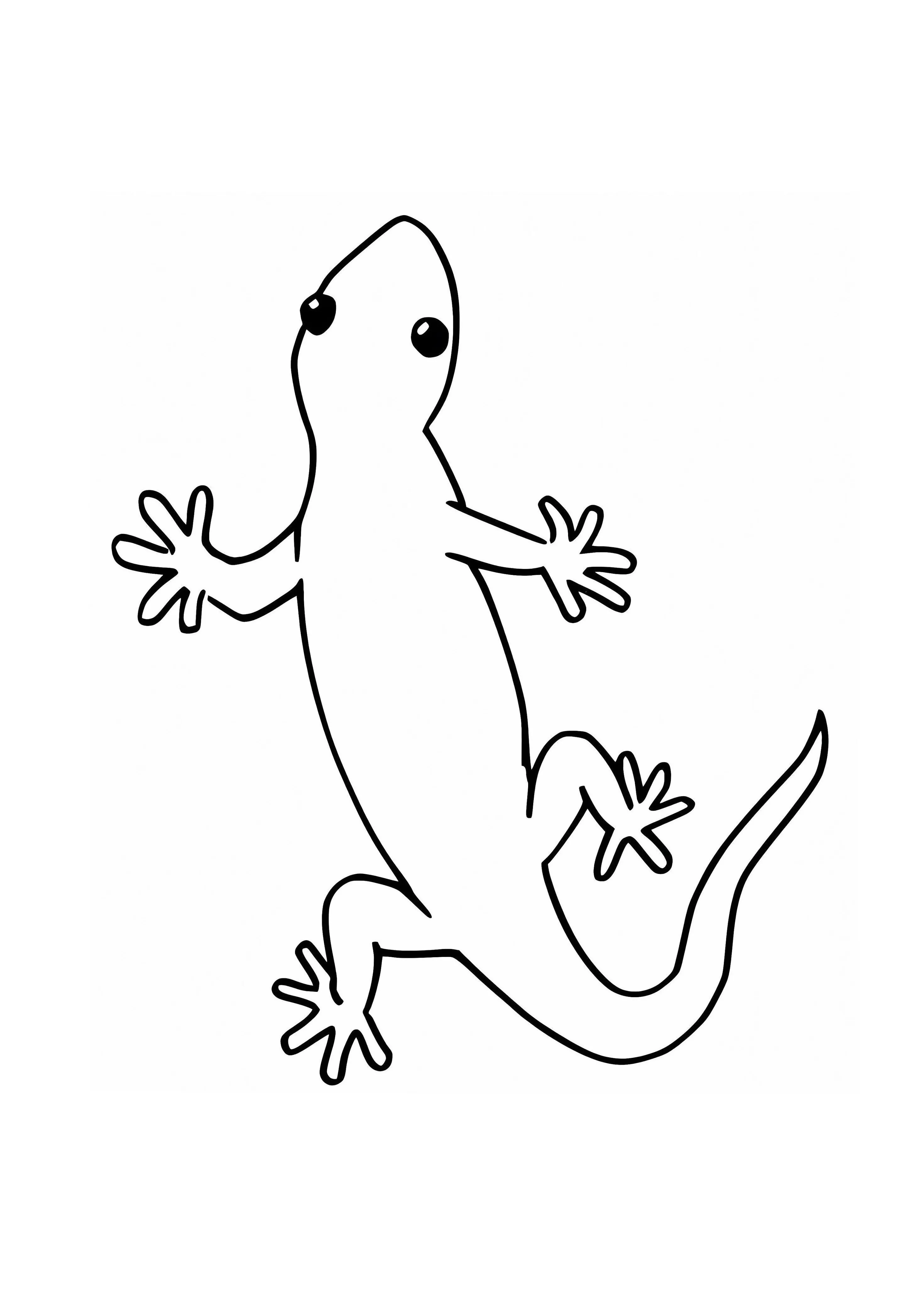 GelGekko - 1 persoon (blauw) (vanaf 8 jaar)