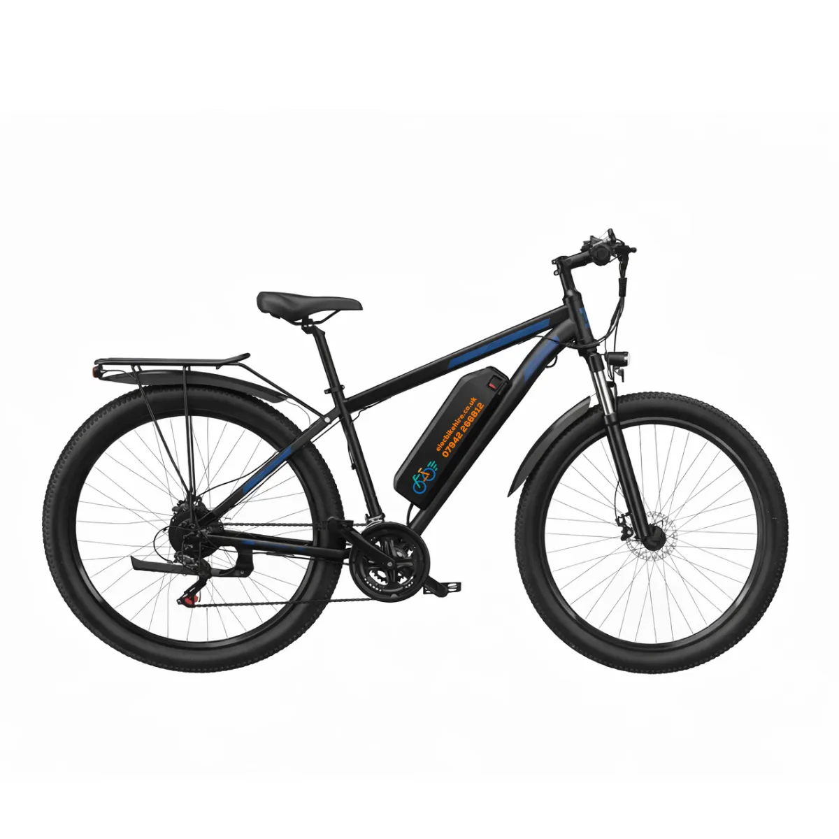 Adult Electric Bike