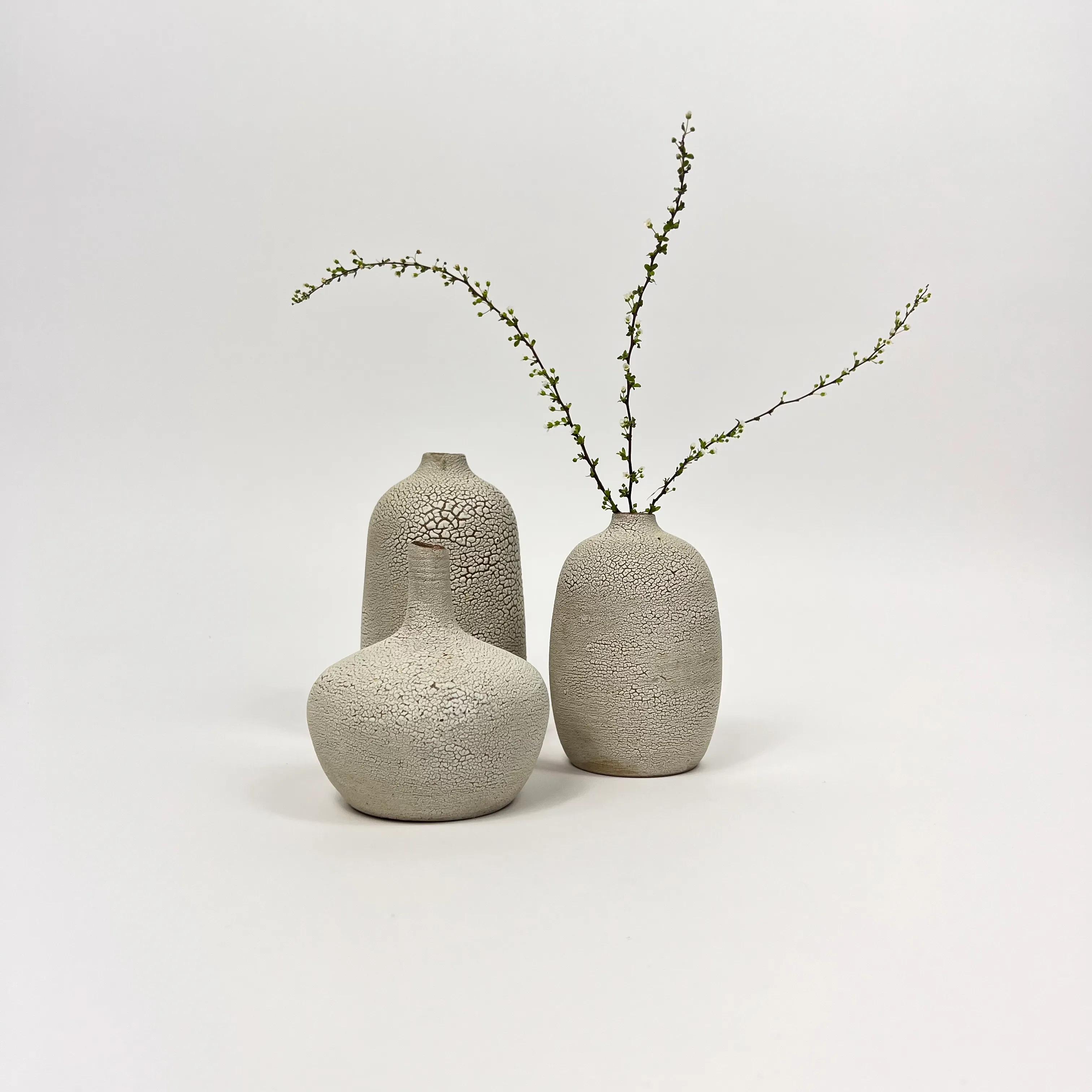 D CERAMICS JOSHUA TREE BOTTLE