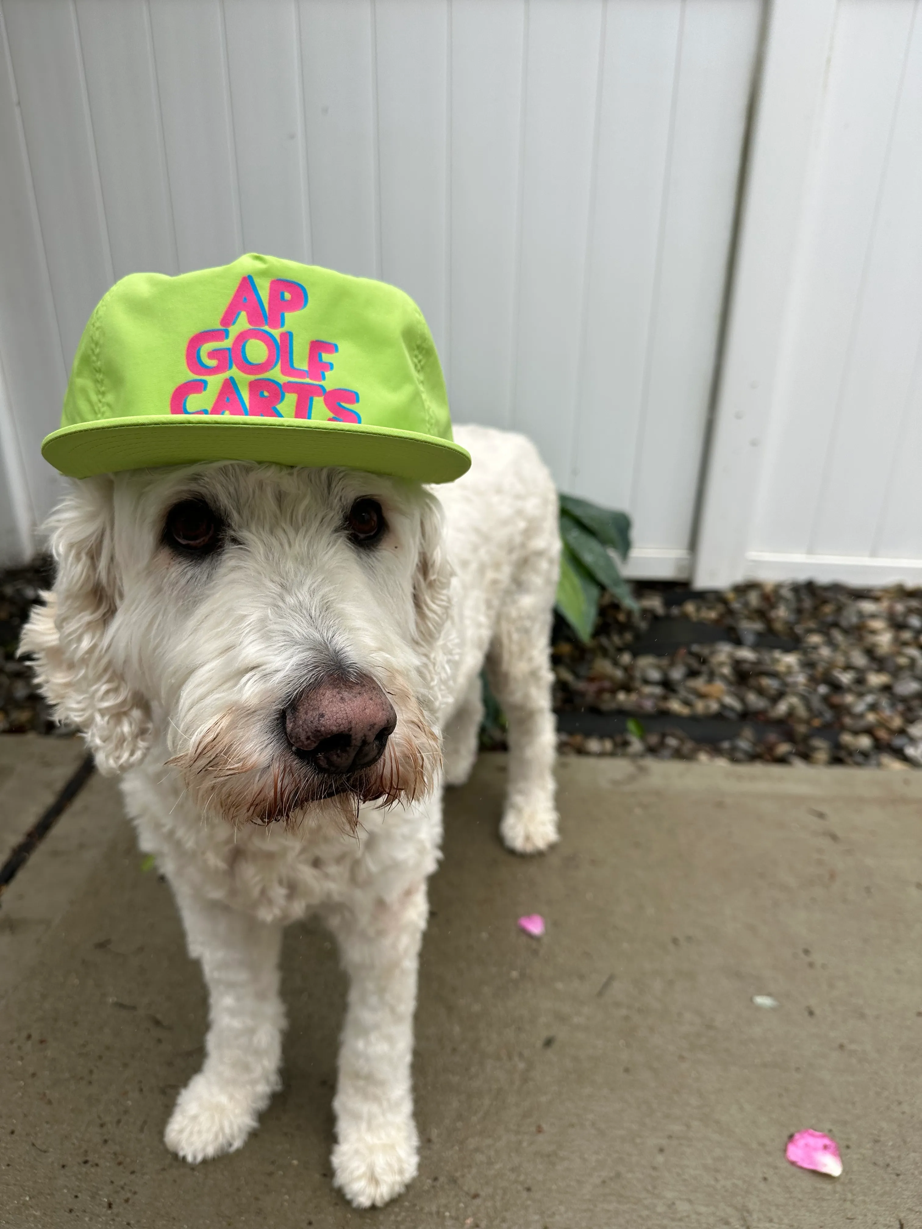 APGC Hat