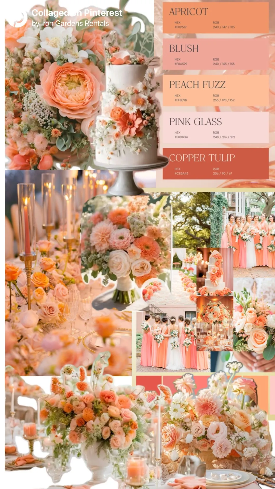 Summer Sunset Collection