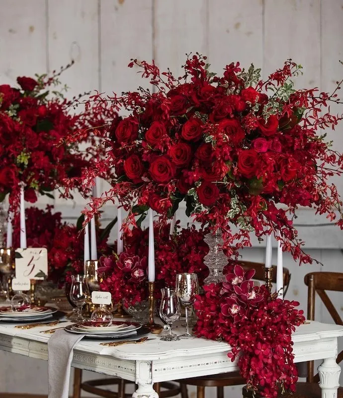 Red Amour Collection