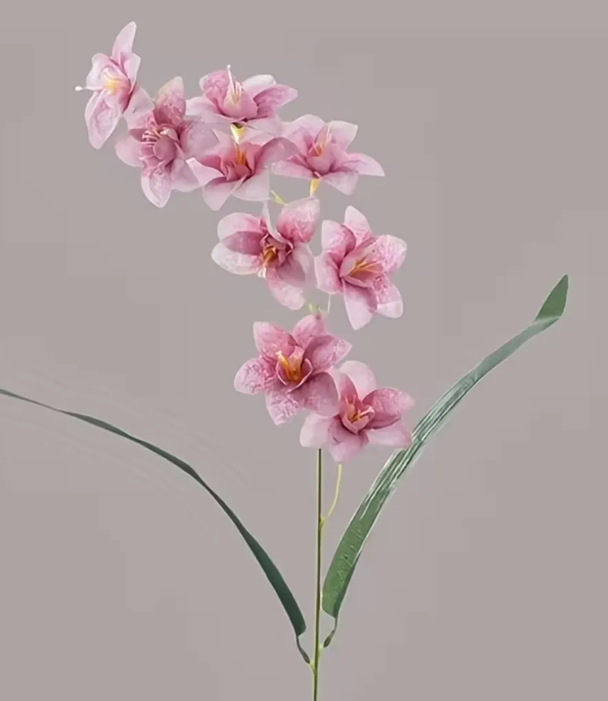 Pink Orchid Flower