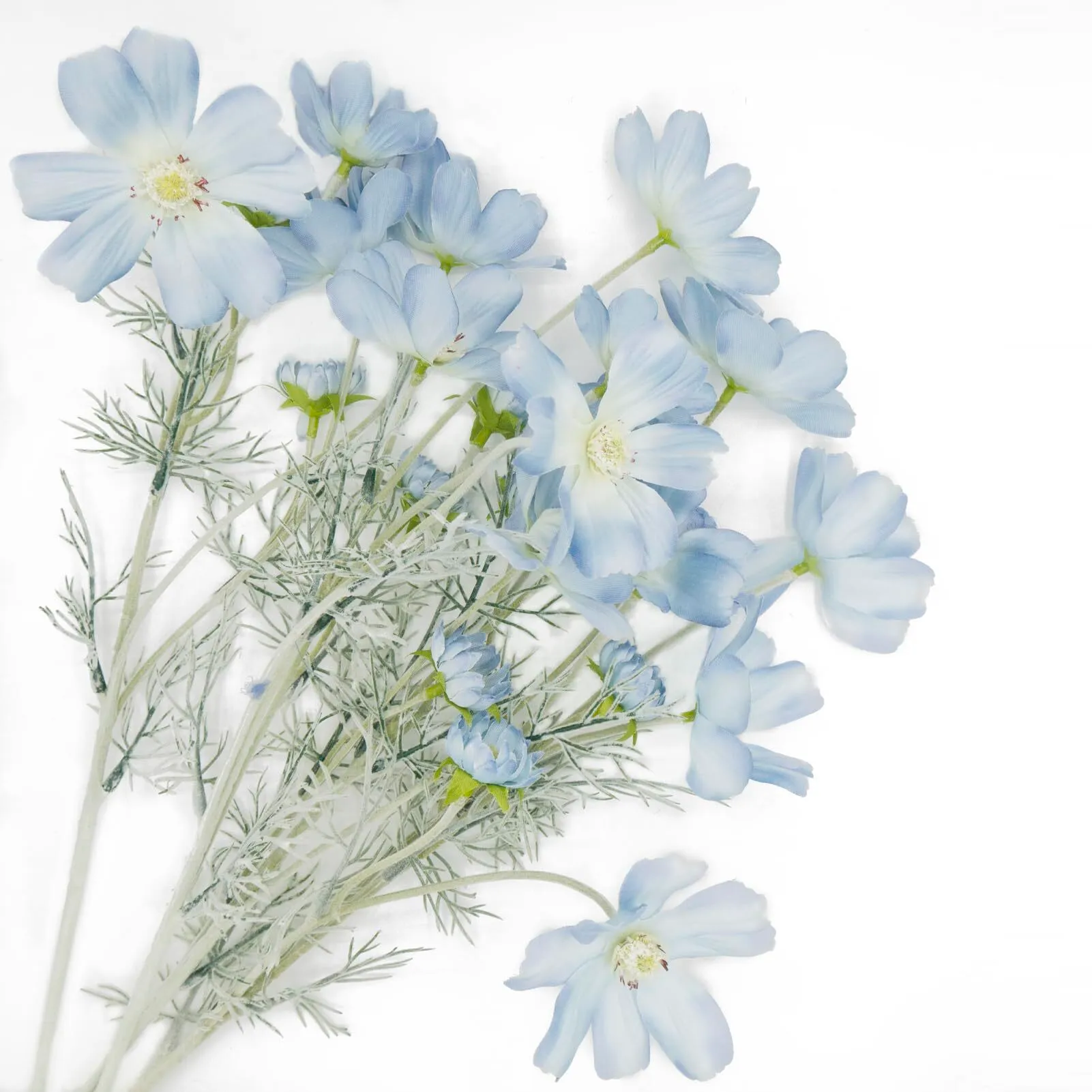 Light Blue Cosmo Flower