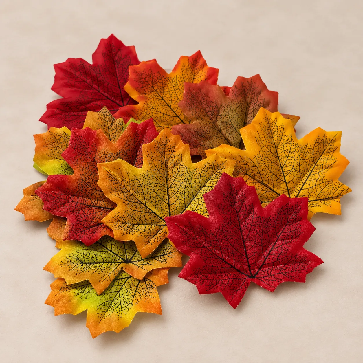 Fall Colored Leaves