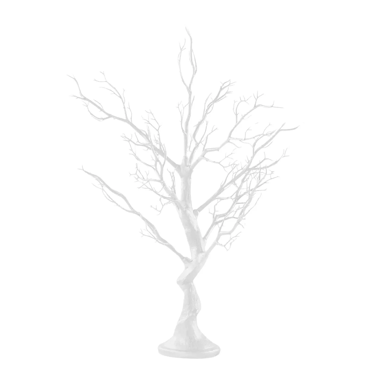 White Manzanita Tree