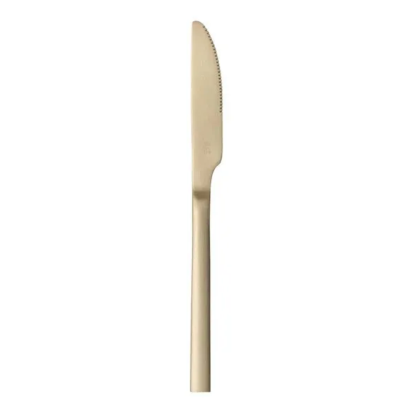 Matte Gold Knife