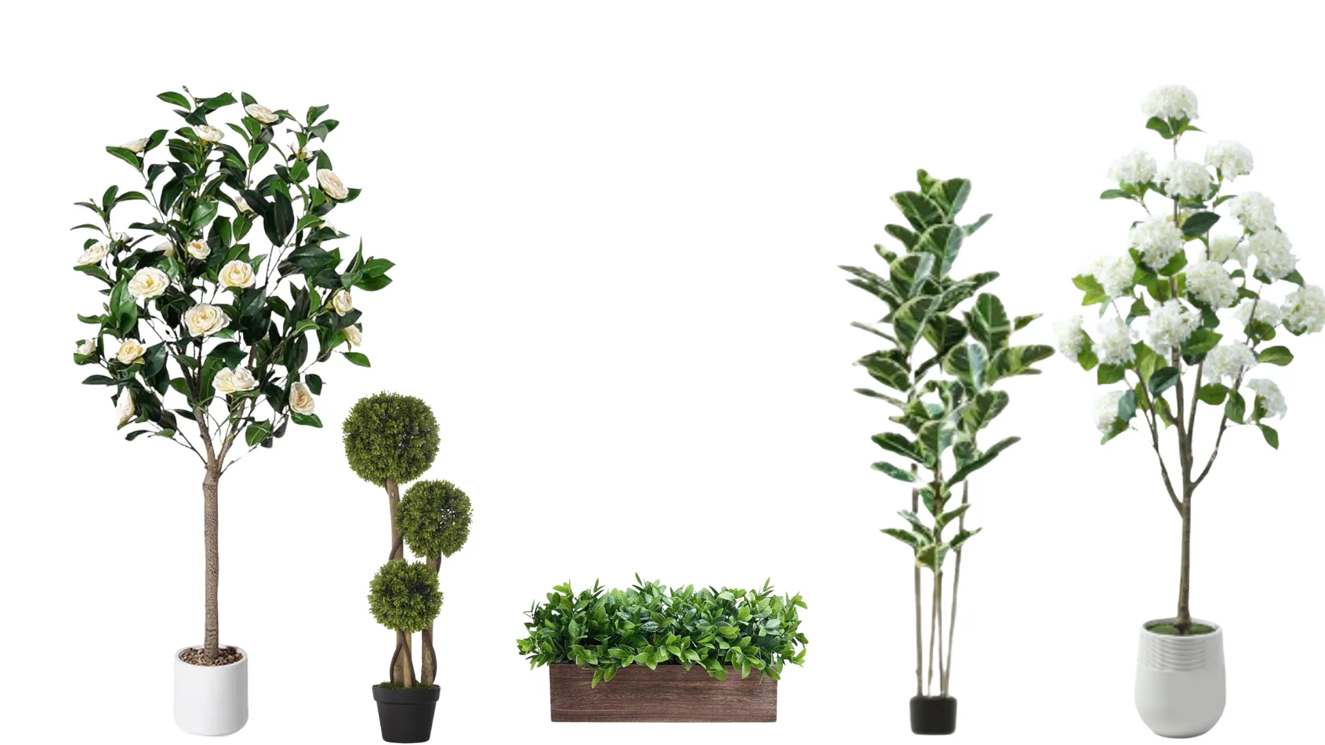 Artificial Plants  (LAS)