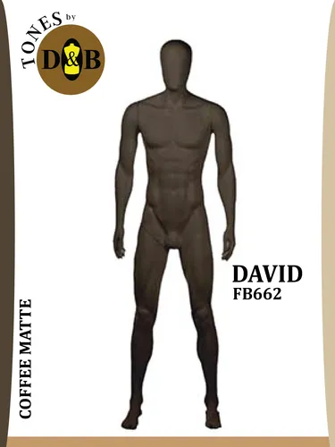 DAVID  (LAS)
