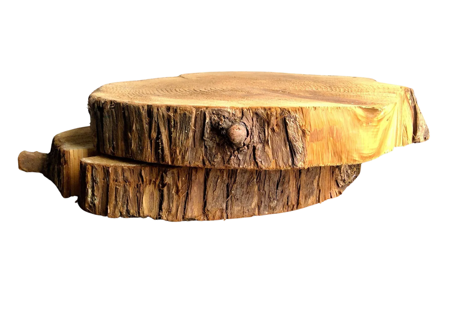 Bark Wood Rounds