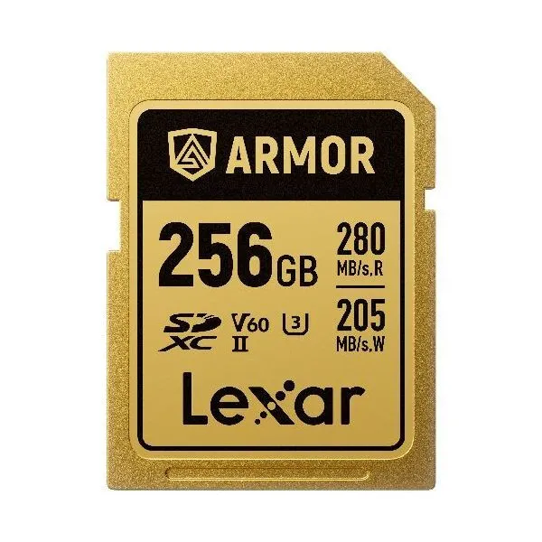 195. Lexar SDXC 256GB V60 Armor