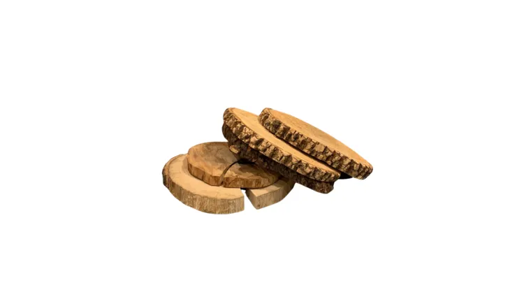 Assorted Wood Slices
