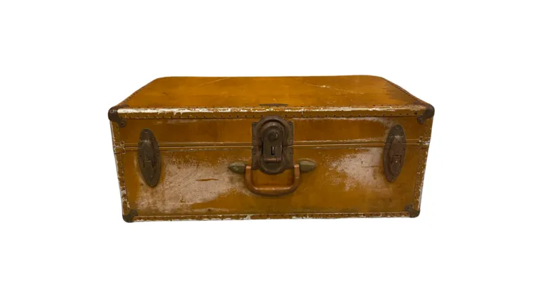 Brown Trunk
