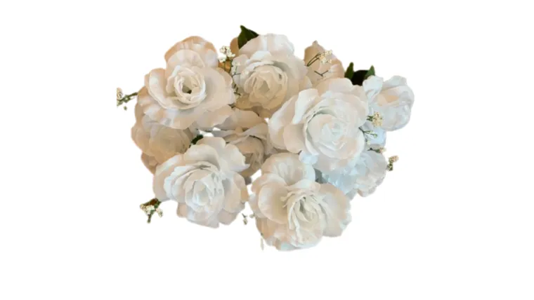 White Rose Stem