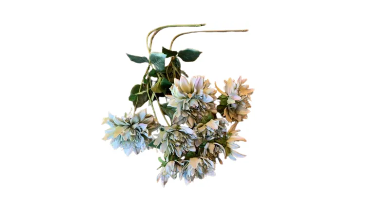 Blue Green Dahlia Stem