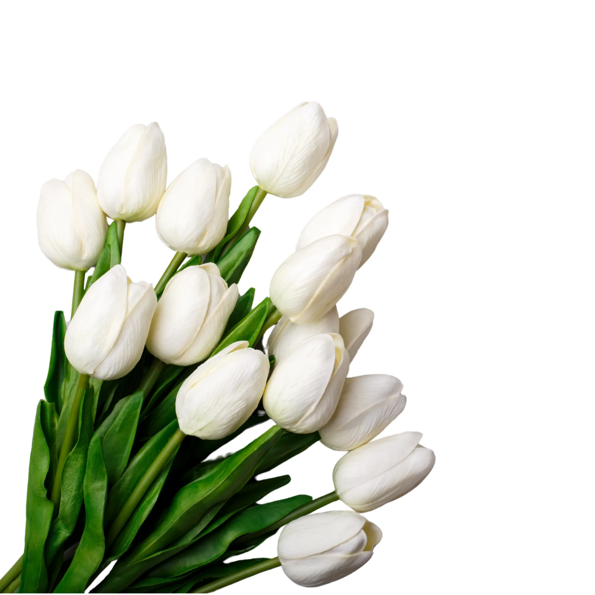Bouquet de tulipes (blanc, orange, rouge, rose, jaune)