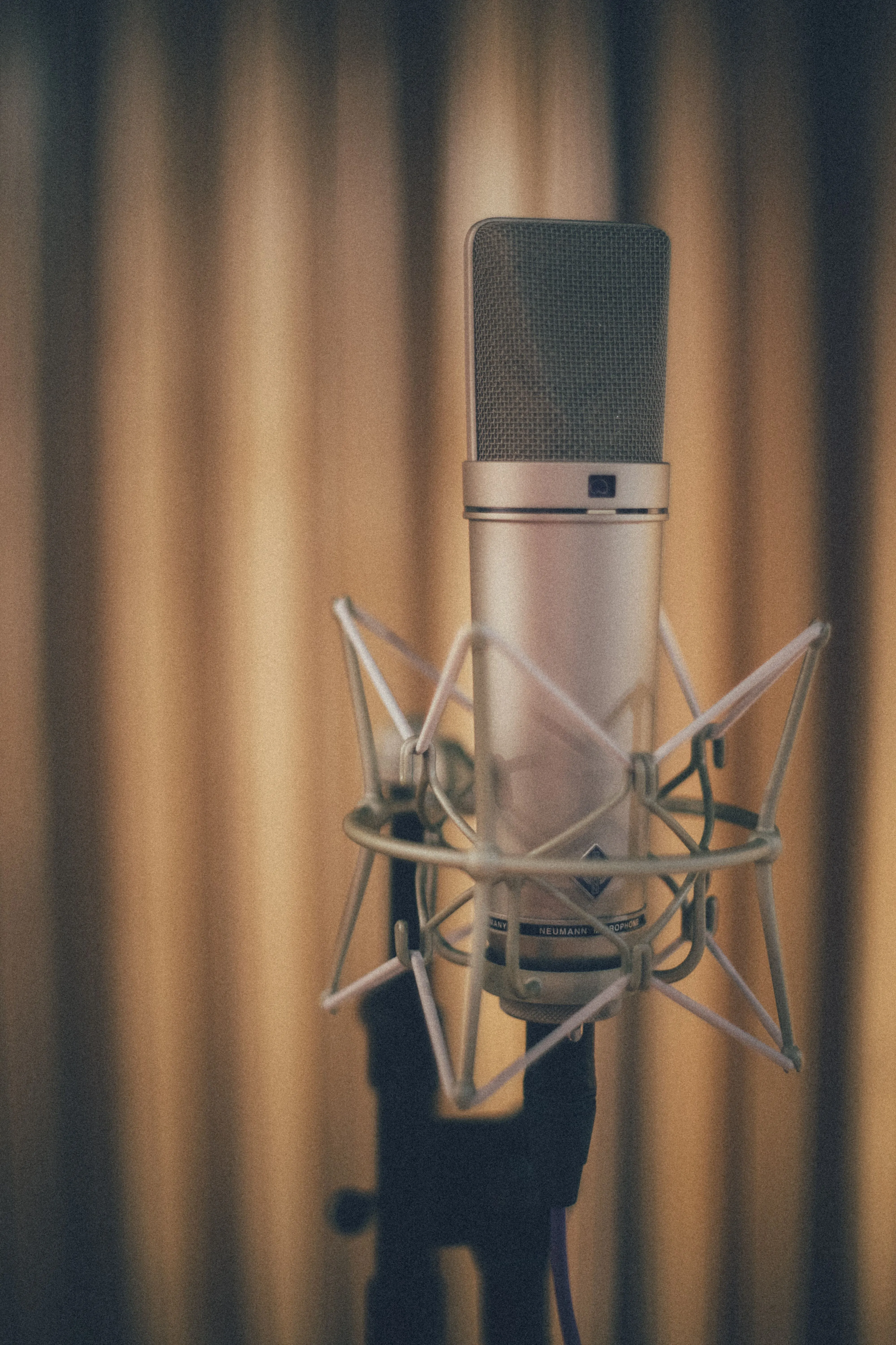 Studio and live performance microphones