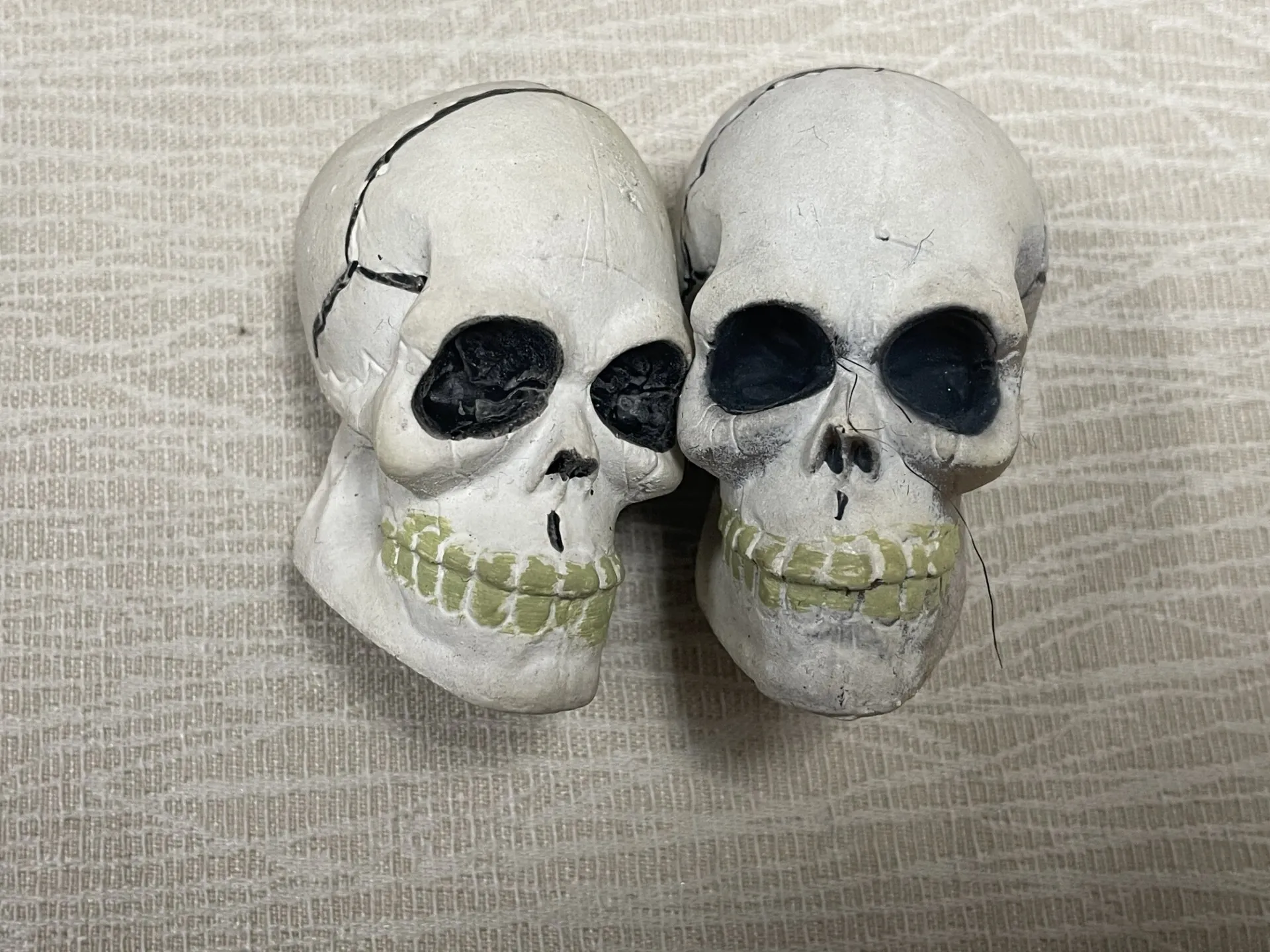 Small Plastic Skull