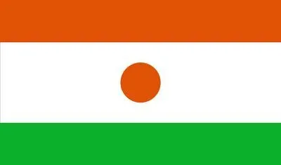 Niger Flag