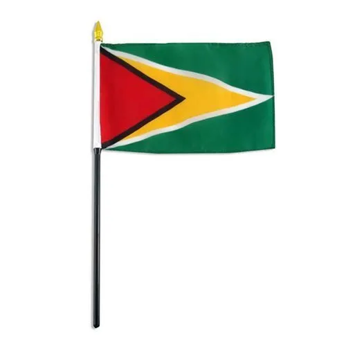 Guyana Flag