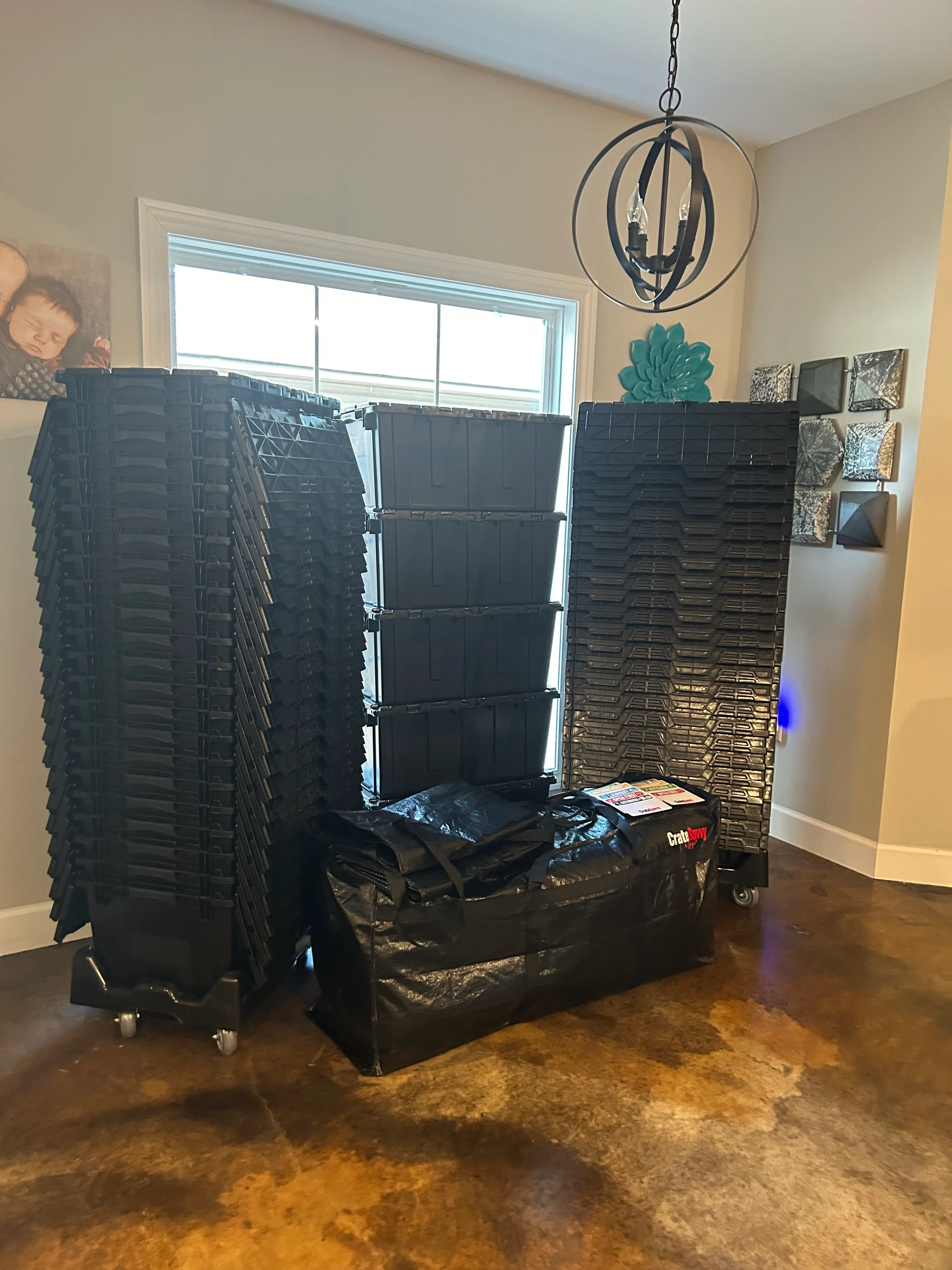 The Savvy Plus Package