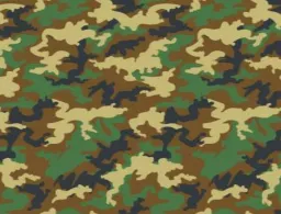 Army / Camouflage Jumping Castles
