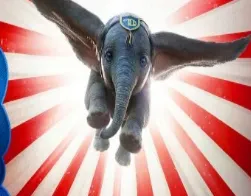 Dumbo Jumping Castles