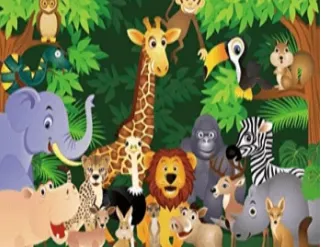 Jungle Jumping Castles