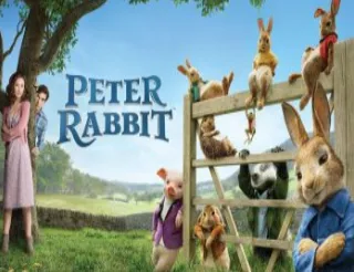 Peter Rabbit Jumping Castles