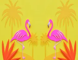 Flamingos Jumping Castles