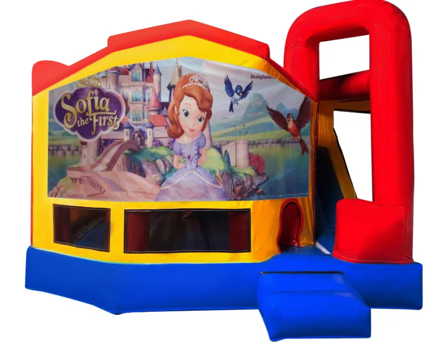 Sofia The First Medium Internal Slide Jumping Castle