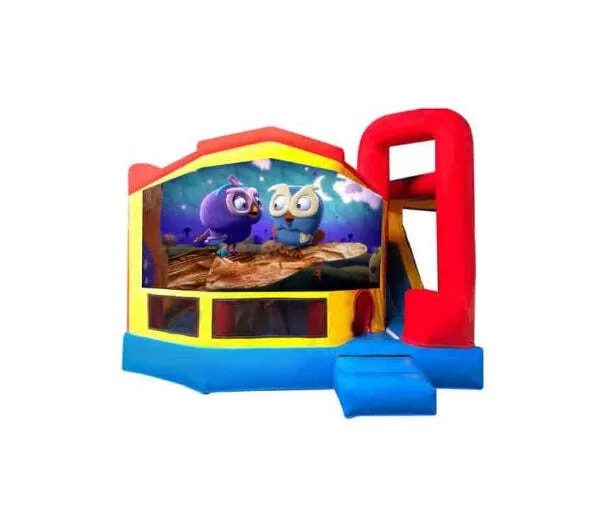 Giggle & Hoot Medium Internal Slide Jumping Castle