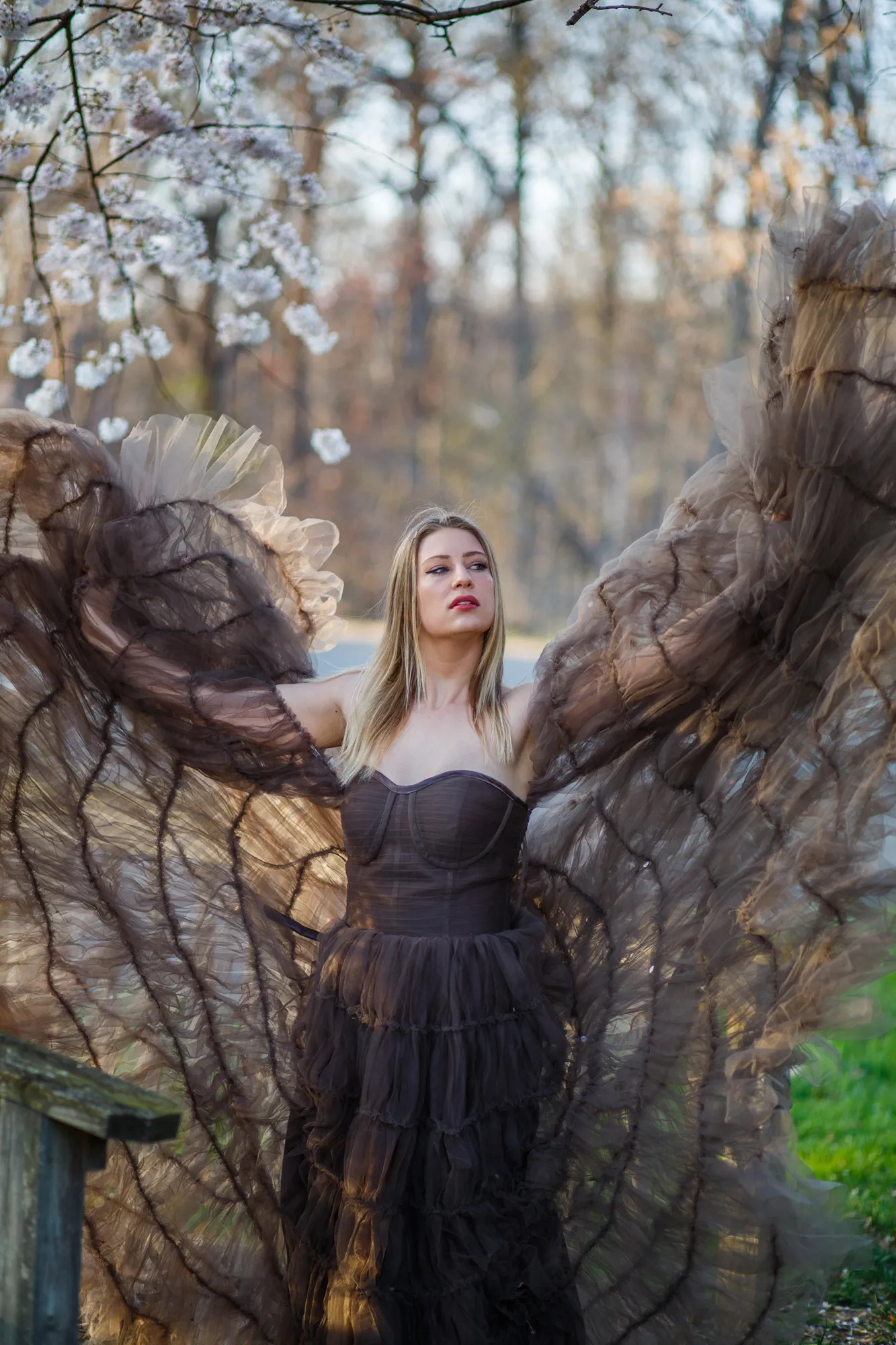 CHARCOAL WINGS DRESS