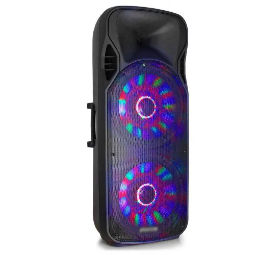 1 x Double 15 Party Speaker