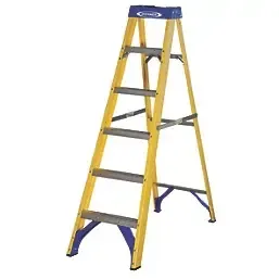 Werner Ladder 6 Tread