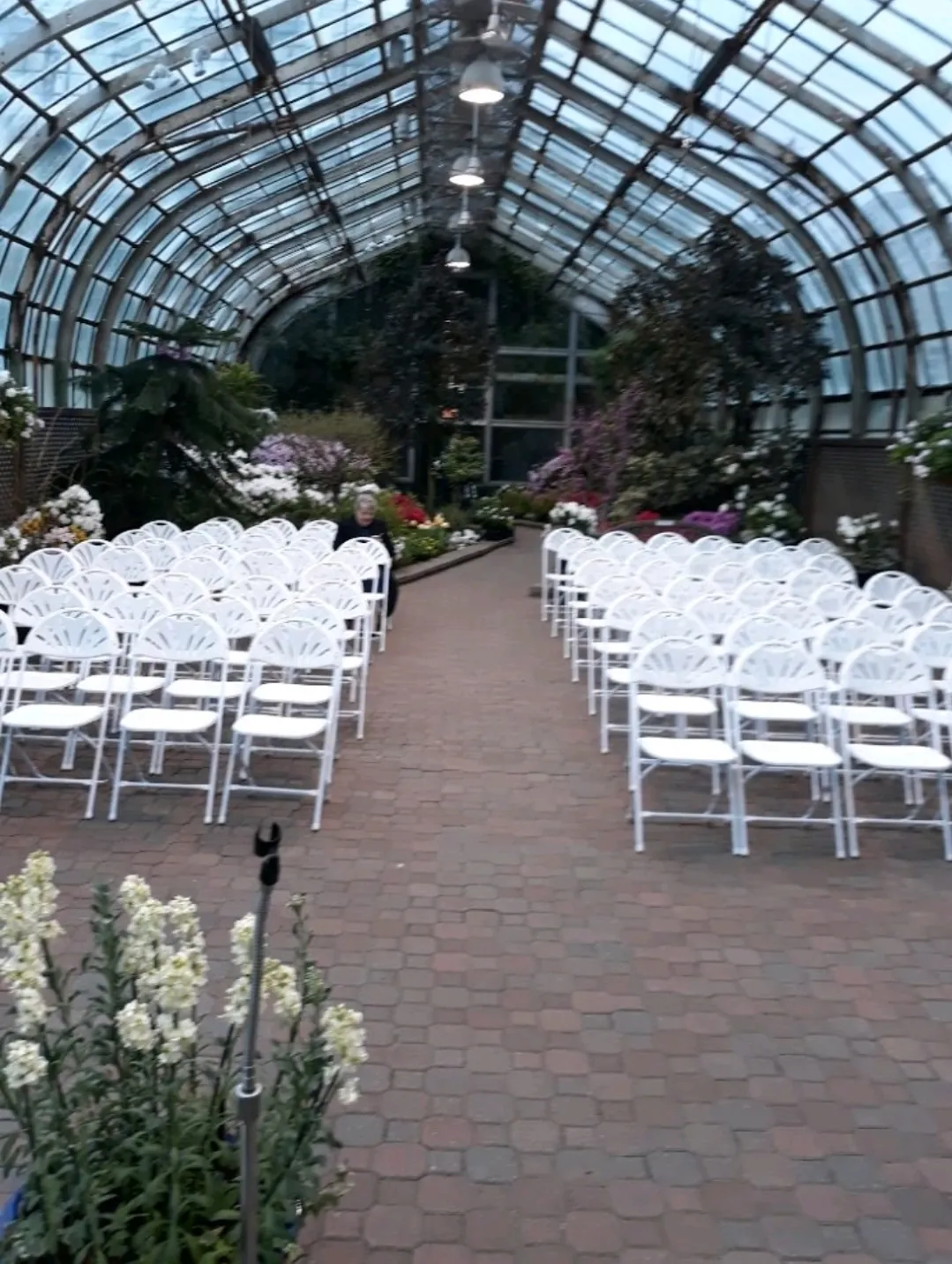 WEDDING RECEPTION CHAIRS & SERVICES