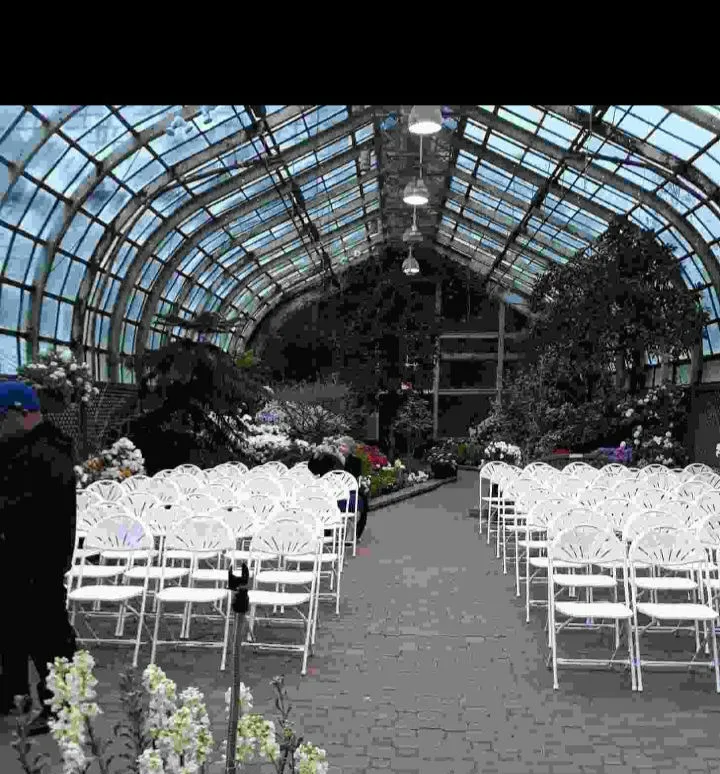 White fan back chairs