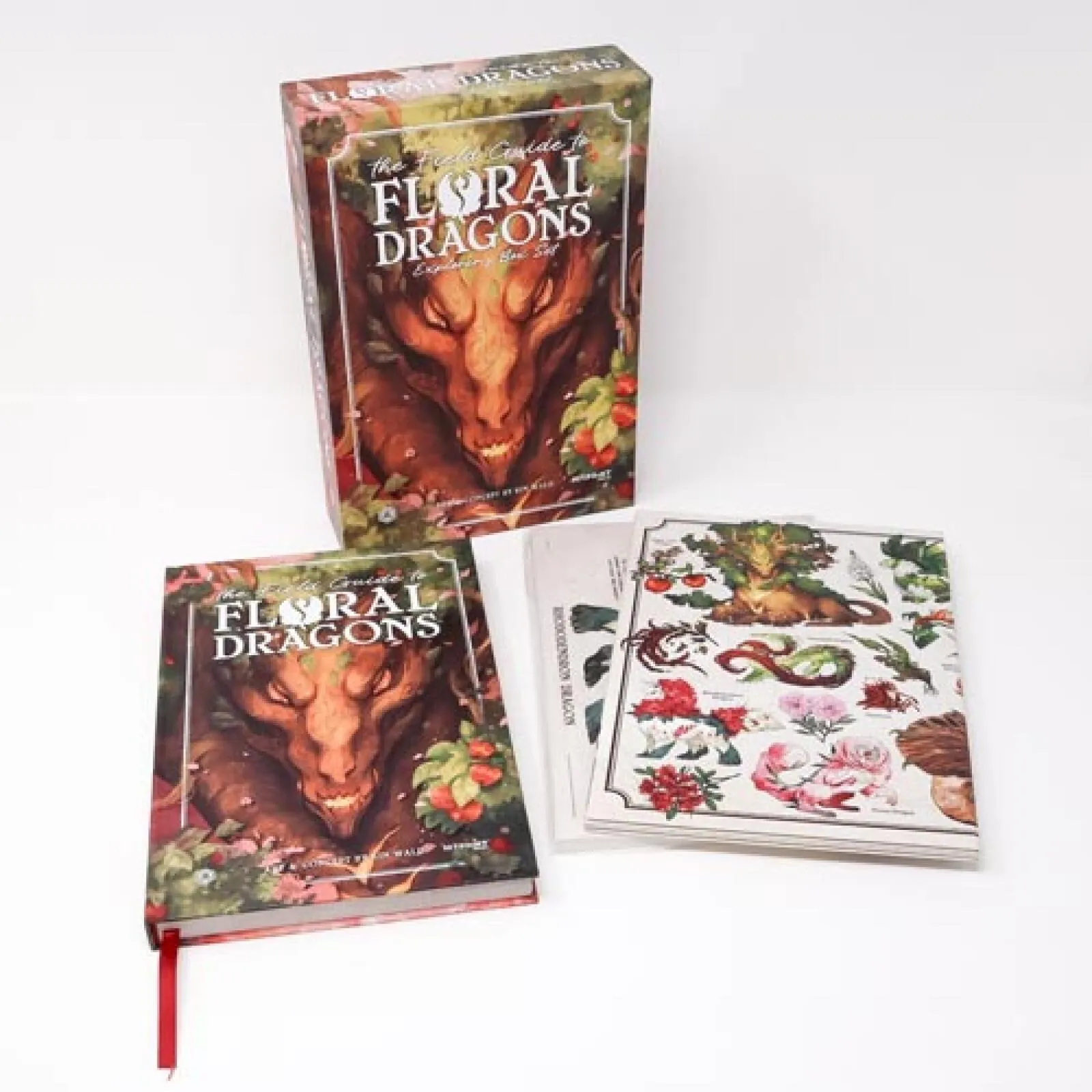 Field Guide to Floral Dragons Box Set