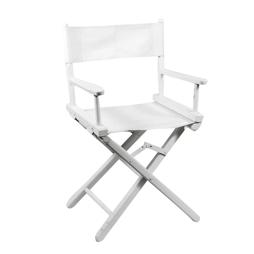Director chair