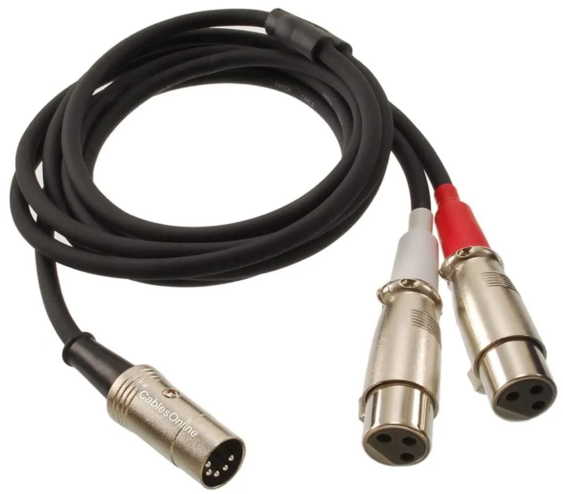 XLR 5 pin audio in
