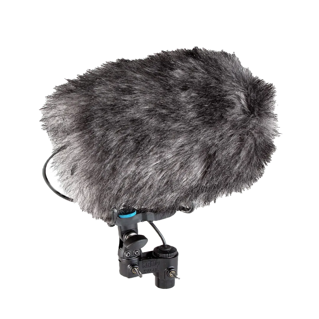 SENNHEISER MKH 8060 WITH COSI BLIMP